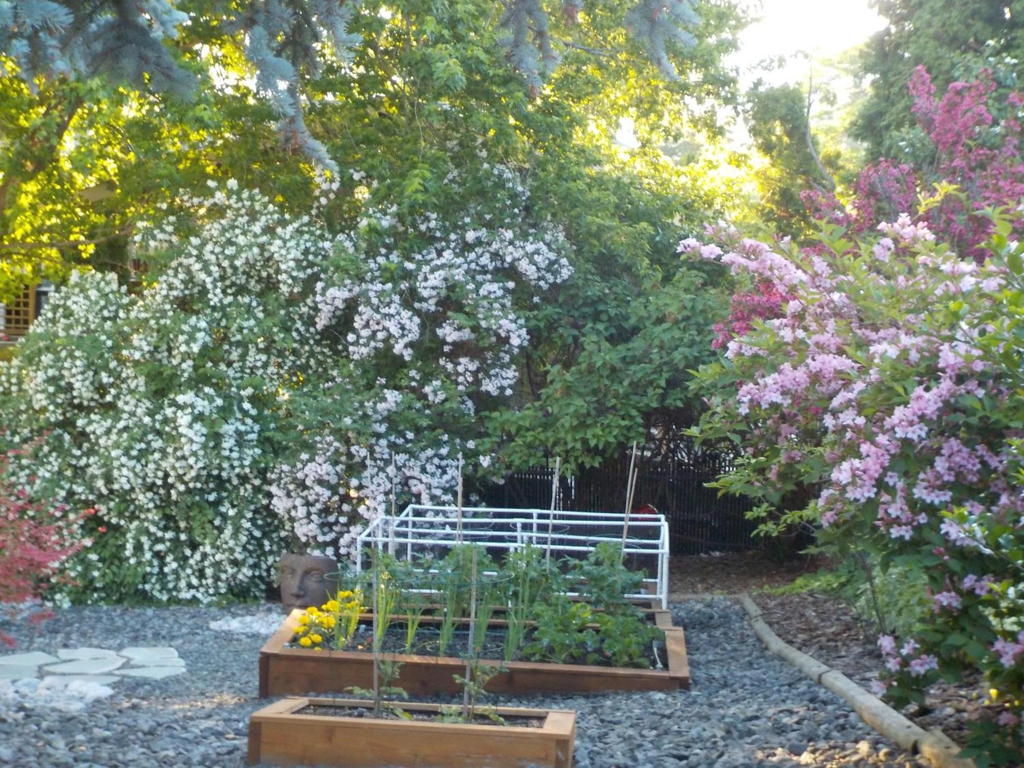 Dogwood Bed & Breakfast Summerland Ngoại thất bức ảnh